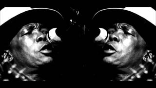 Big Head Todd & John Lee Hooker - Boom Boom