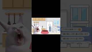うさぎの食事マナー#shorts