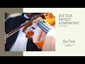 Bitter Sweet Symphony (Instrumental) - All Fine ...