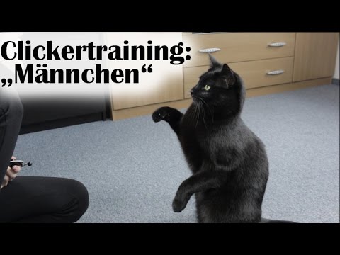 Clickertraining: "Mach Männchen!"