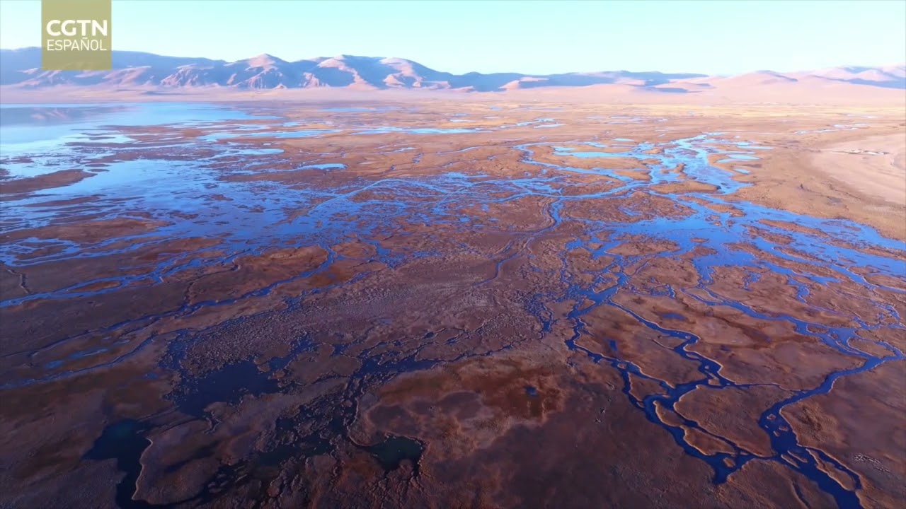El humedal Mujiu, un tesoro de biodiversidad en la región autónoma china de Xizang