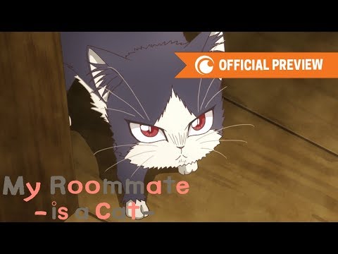 My Roommate is a Cat Trailer