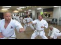 Oi-zuki Stepping Punch in Shotokan Karate