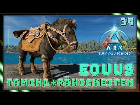 ASA Taming Guide ⭐ 34: Taming EQUUS - Skills | ARK Survival Ascended | #Doctendo