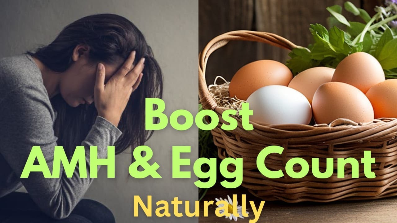 How to Boost Egg Count and AMH Levels Naturally...REVEALED!!!  ( MUST WATCH )