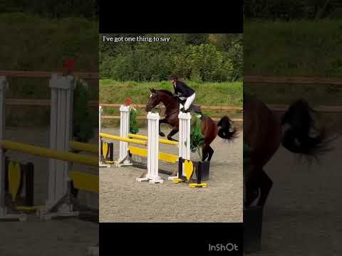 With them or without I’ll still get views, likes, comments and subs 😉 #showjumping #haters #edit