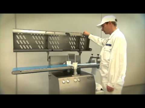 REX Technologie   general information