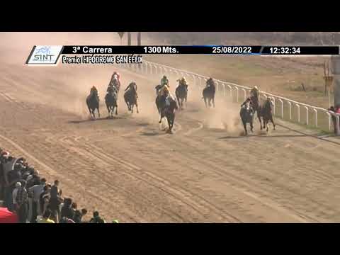 CARRERAS SINT COLONIA - 220825 c03 1° PANFORTE