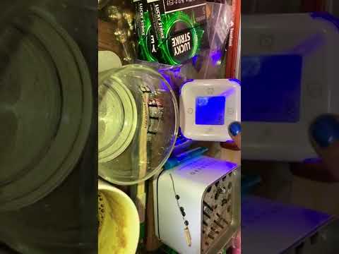 それが、一部の Apple 従業員が密かに Android を使用している理由です