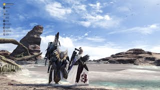 Steam版　王マムLv１周回