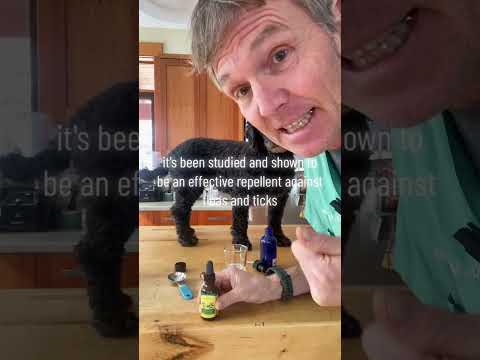 殺虫剤を避ける：犬や猫に安全な天然ノミ・ダニスプレー