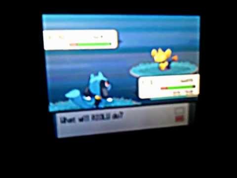 Pokemon platinum shiny shinx after 40 chain