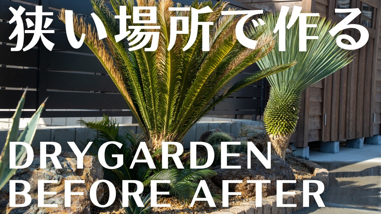 【植栽でお家が激変！初心者でも真似できるドライガーデン】