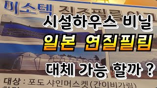 시설하우스  비닐 일본 연질필림 대체가 가능할까? 그 가능성이 보인다