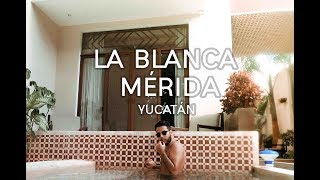 Cantinas y hoteles boutique en Mérida || Yucatan #2