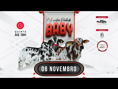 1° Leilão Virtual Nelore Pintado Baby, SÃO MIGUEL DO OESTE/SC (em ambiente virtual) - 06/11/2025 19h