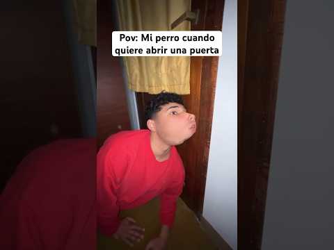 My dog ​​opening a door IG: elnachetoo #argentina #humor #comedy #sketch #dog