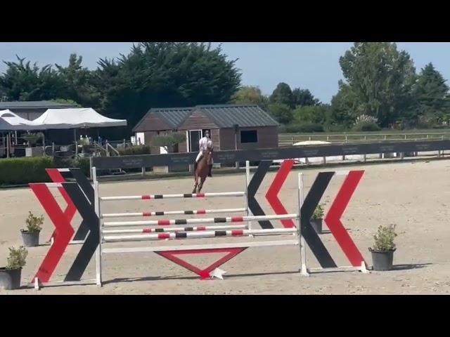 KARLOTA MANCIAISE - Souche sport et élevage 5*