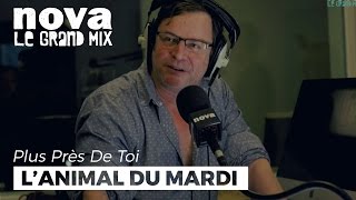 Le corail : l’animal (de compagnie) du mardi de François Rollin | Plus Près De Toi