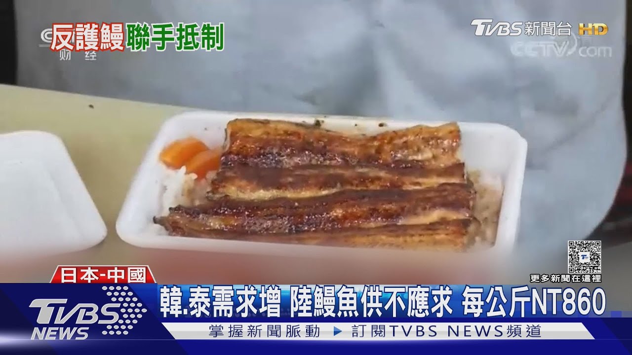 鰻魚飯恐成天價 歐盟擬列18種鰻魚為瀕危!日中韓擬聯手反對