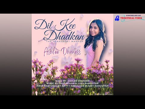 Dil Kee Dhadkan (The Heartbeat Mashup) - Ashlee Dhaness