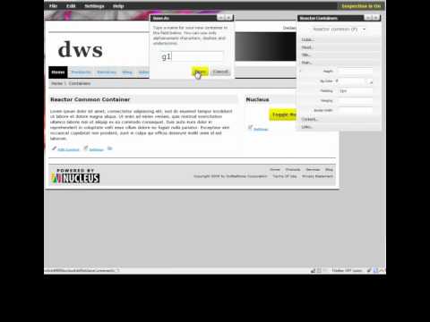 Nucleus - Create a simple container