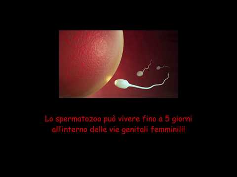 Dipendenza mentale da alcool La riabilitazione si concentra per cura di alcolismo gratuitamente