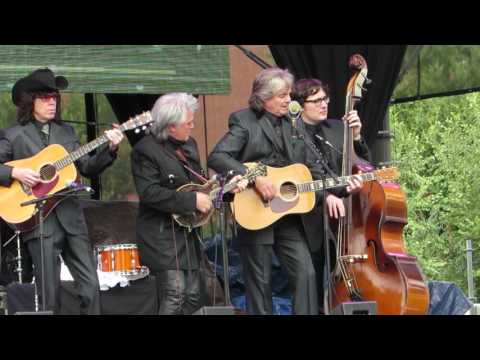 Wild angels - Harry Stinson feat Marty Stuart & His Fabulous Superlatives