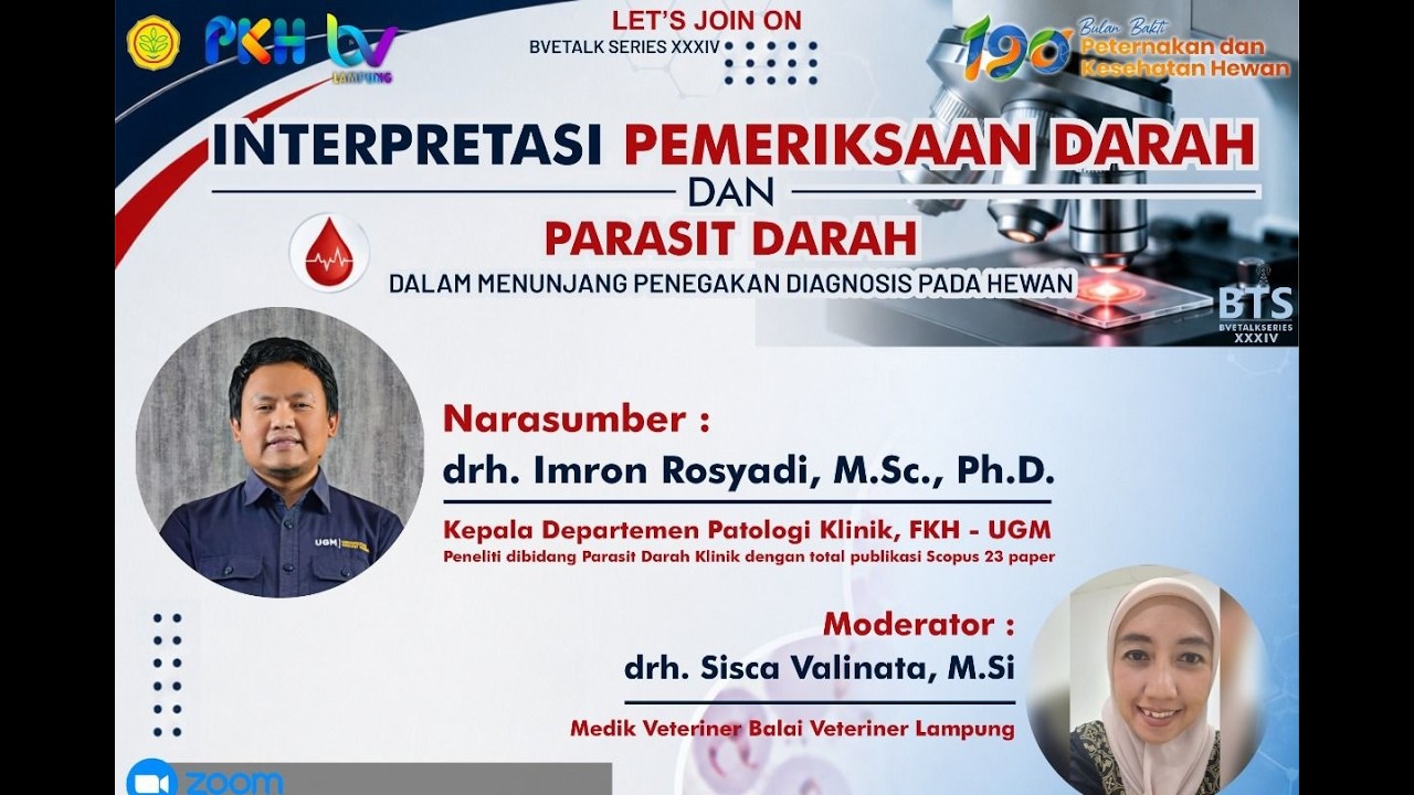 BVETALK Series XXXIV
