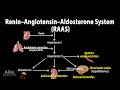 Angiotensin Renin System Animation