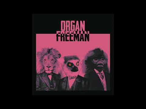 Organ Freeman - Go by Richard, Not by Dick