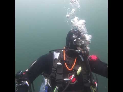 Scuba Diving at Eyemouth Dive Trip August 2019