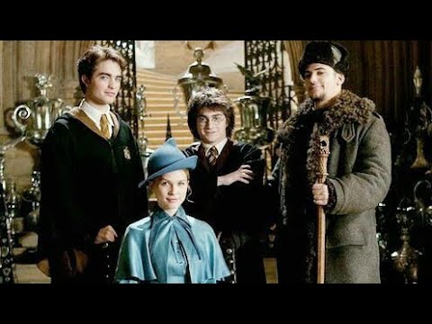 Harry Potter Triwizard Tournament Tribute - Champion