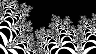 Blaqk Audio - Between Breaths An XX Perspective