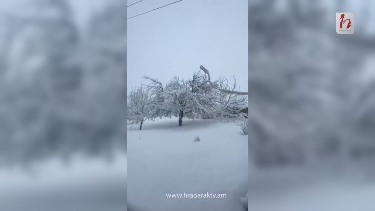 Ապարանի տարածաշրջան, Արագած գյուղ, գիժ մարտ