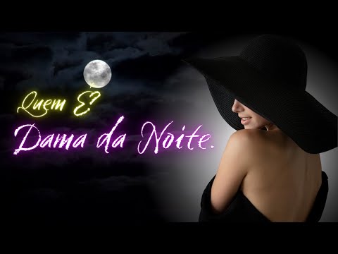 QUEM É? ESTUDO da Falange de POMBAGIRA DAMA DA NOITE.