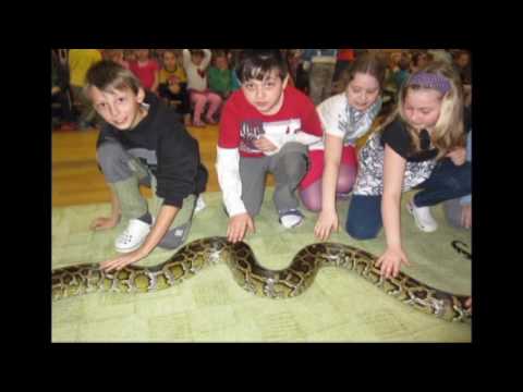 Rozlučkové video - ZŠ Komenského Frýdlant nad Ostravicí 9.A