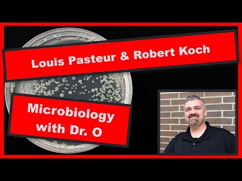 Louis Pasteur und Robert Koch: Mikrobiologie