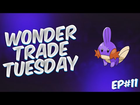 Wonder Trade Tuesday #11: SHINY MUDKIP! LIVE! (Pokemon Omega Ruby & Alpha Sapphire)