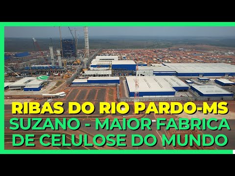✅ SUZANO - MAIOR FÁBRICA DE CELULOSE DO MUNDO - RIBAS DO RIO PARDO - 5 MESES DEPOIS...