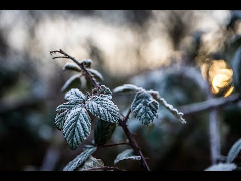 Distanz und Detail Telefotografie | Teleobjektiv