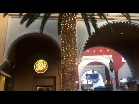 Newport Beach Trip 2k15