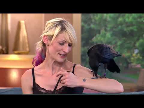 Животные тоже хитрят