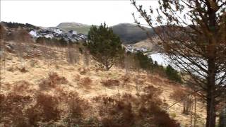 Be young av Kathryn Ostenberg