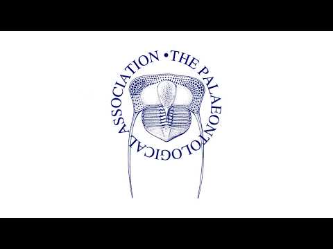 The first vertebrate skeletal tissues and the ‘biomineralization toolkit’