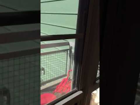 33 Charlton St Everett MA by Pat Egan Apartments