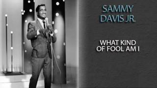 SAMMY DAVIS JR. - WHAT KIND OF FOOL AM I