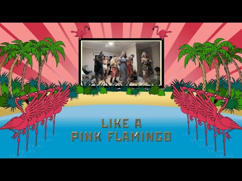 Video thumbnail for Dance Like a Pink Flamingo