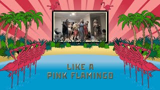 Kadr z teledysku Dance Like A Pink Flamingo tekst piosenki Trollfest