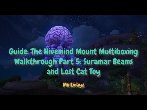 Guide: The Hivemind Mount Walkthrough for Multiboxing! WoW Suramar Beams and Lost Cat Toy Part 5